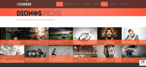 dions picks